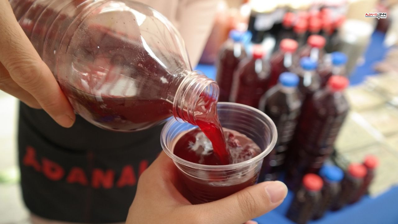 Salgam Tescillendi Ajans344 (4)