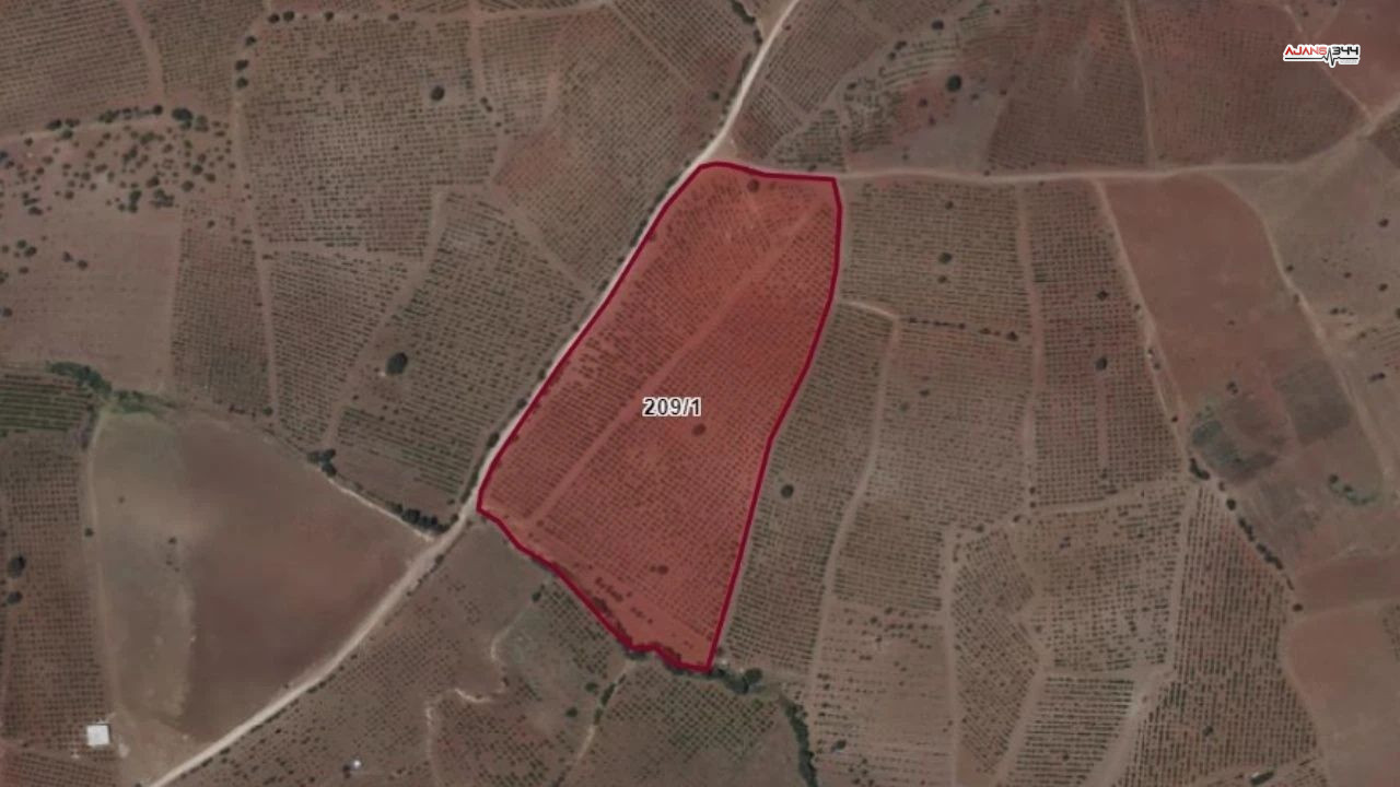 Tala Satışta Ajans344 (1)