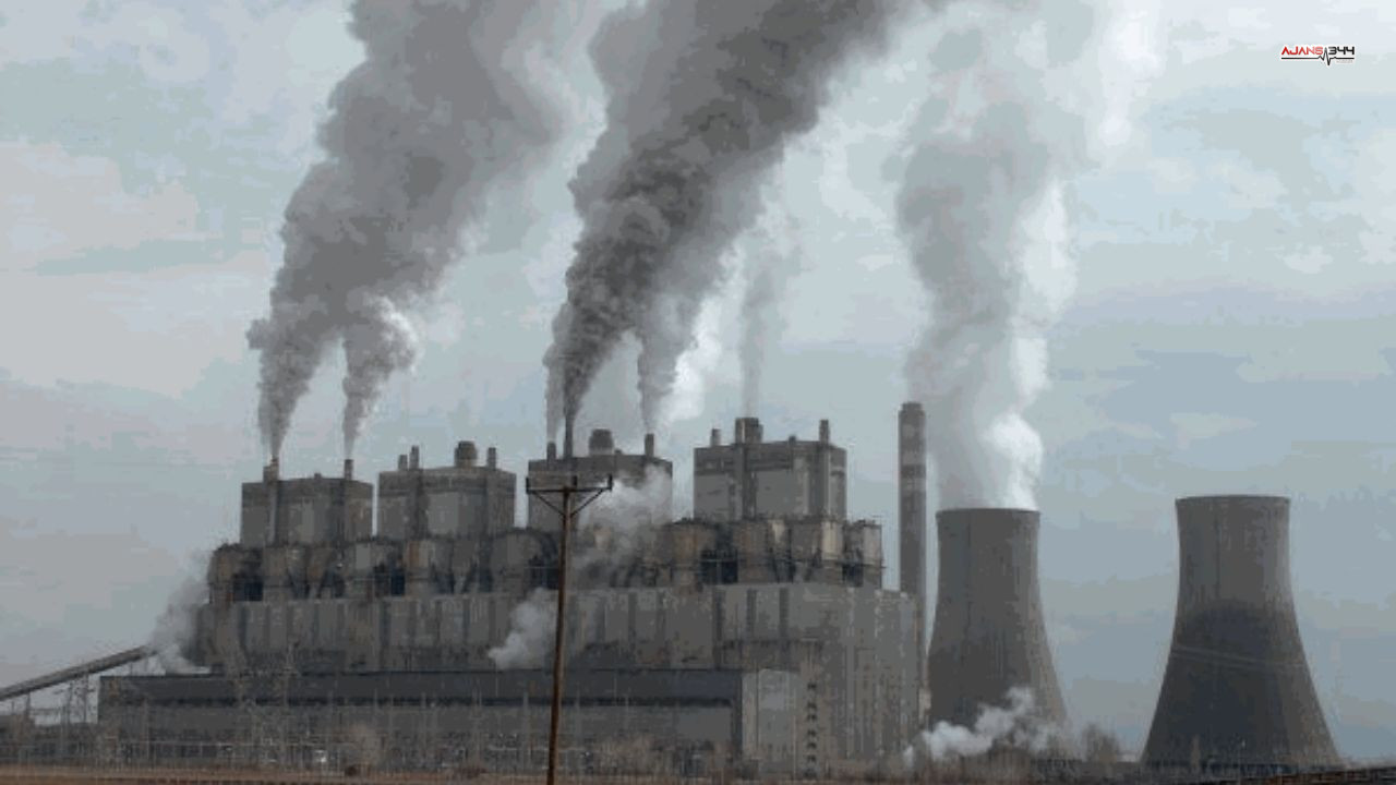 Termik Santral Ajans344 (1)