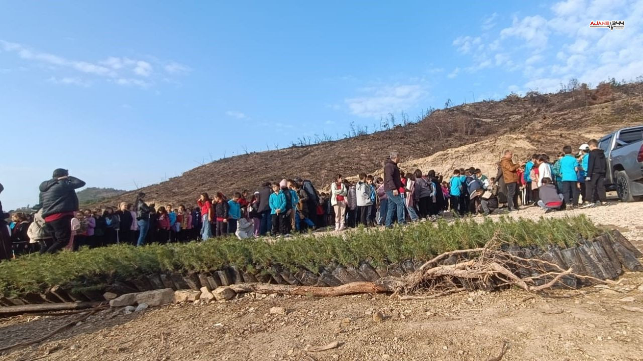 Yanan Yerlere Fidan Dikildi Ajans344 (1)