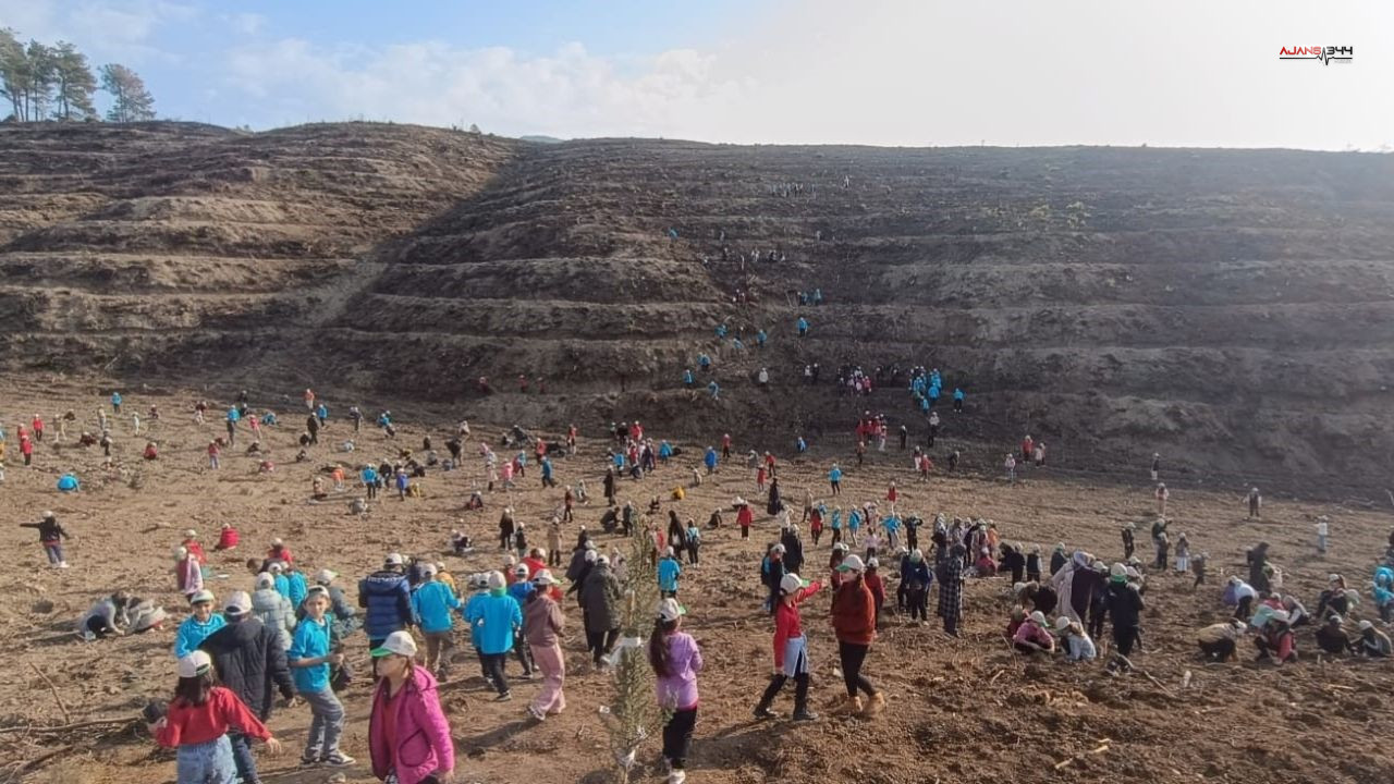 Yanan Yerlere Fidan Dikildi Ajans344 (2)