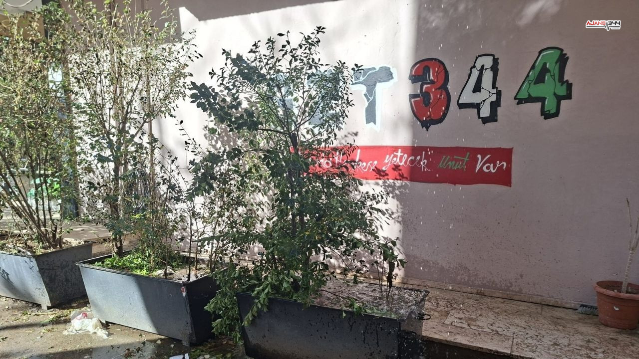 Akan Buzlar Ajanas344 (1)