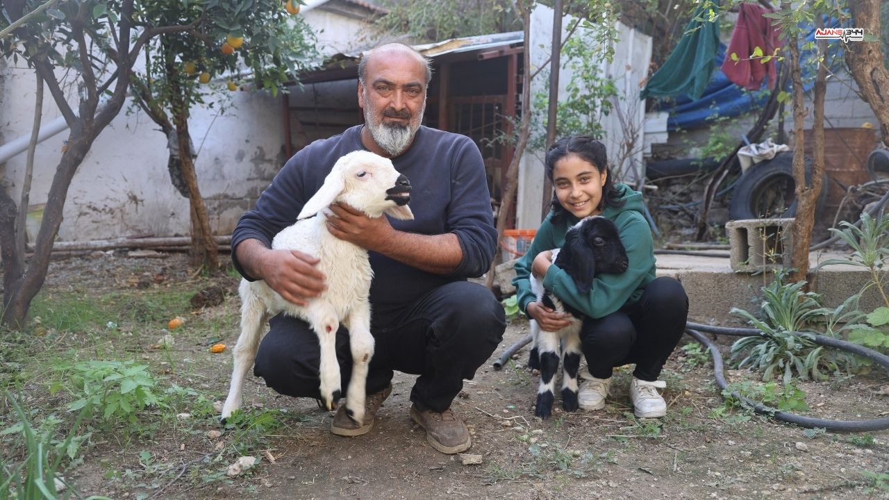 Annesi Telef Olan Kuzu Ajans344 (1)