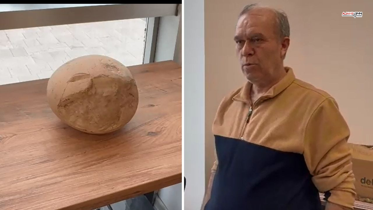 Dinozor Yumurtasıa Ajans344 (2)