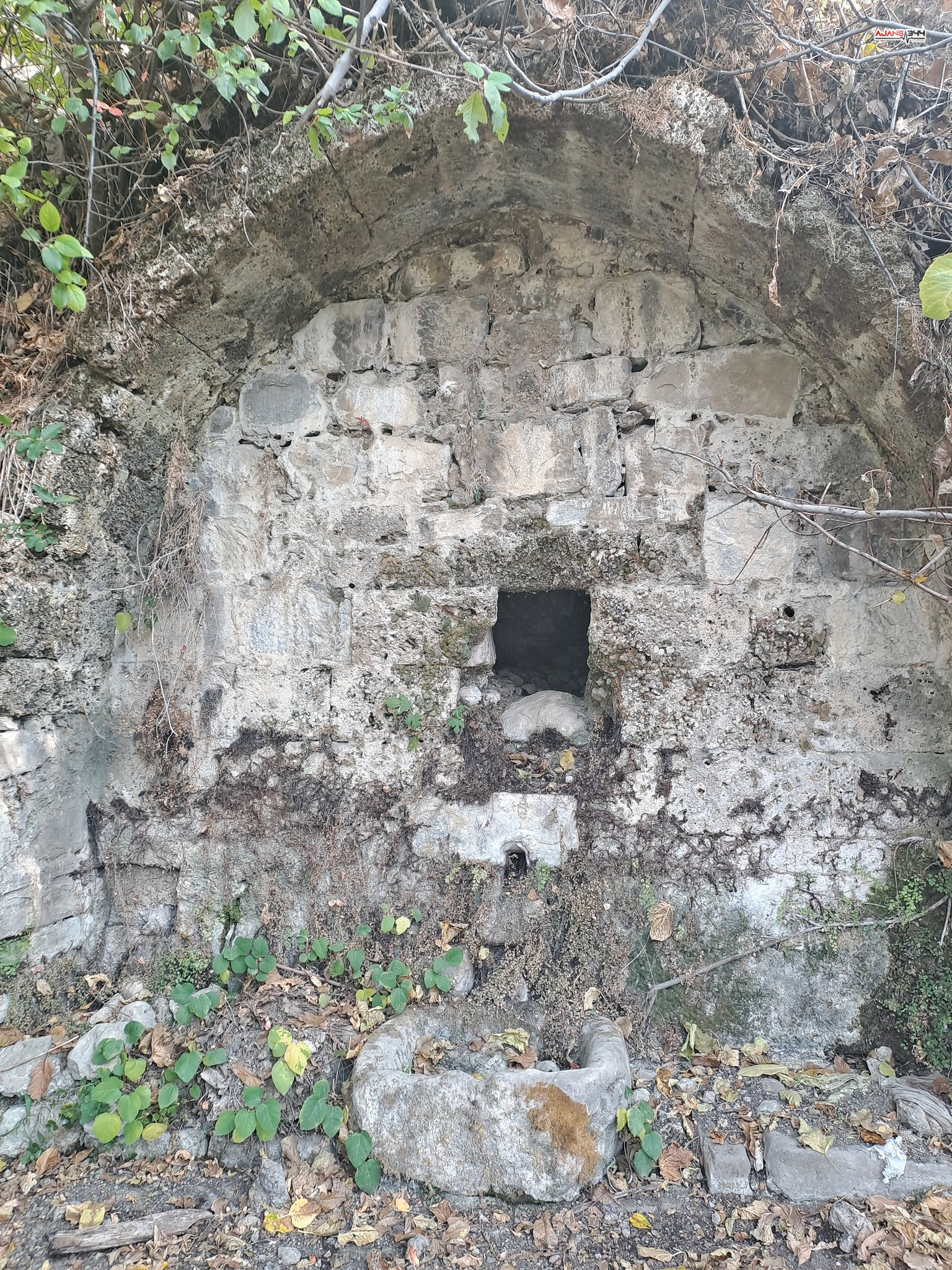 G 49J O E W Q A Ady Dc