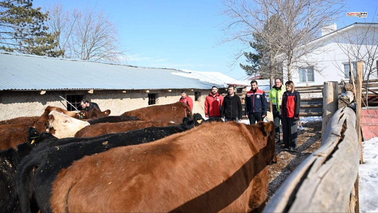 Ilk Buzzagı Ajans344 (2)