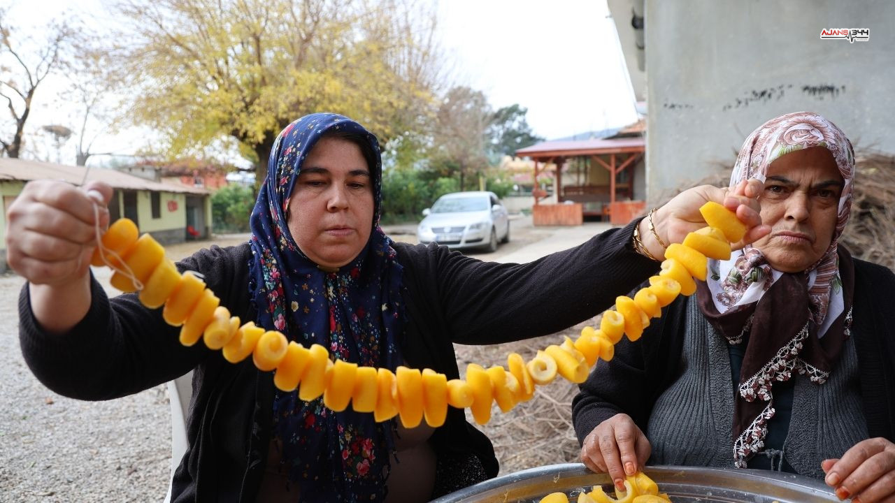 Kadınlar Birlikte Güçlü Ajans344 (2)