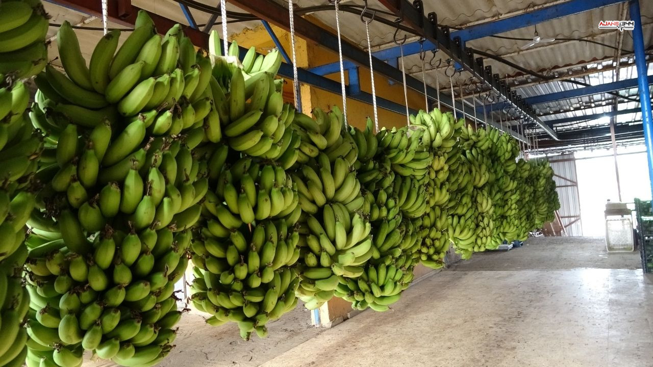 Mevyelerde Fiyat Ajans344 (1)