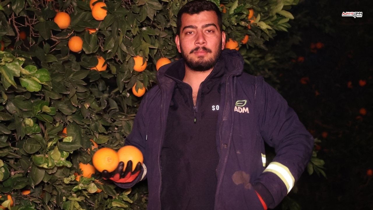 Portakal Nöbeti Ajans344 (3)