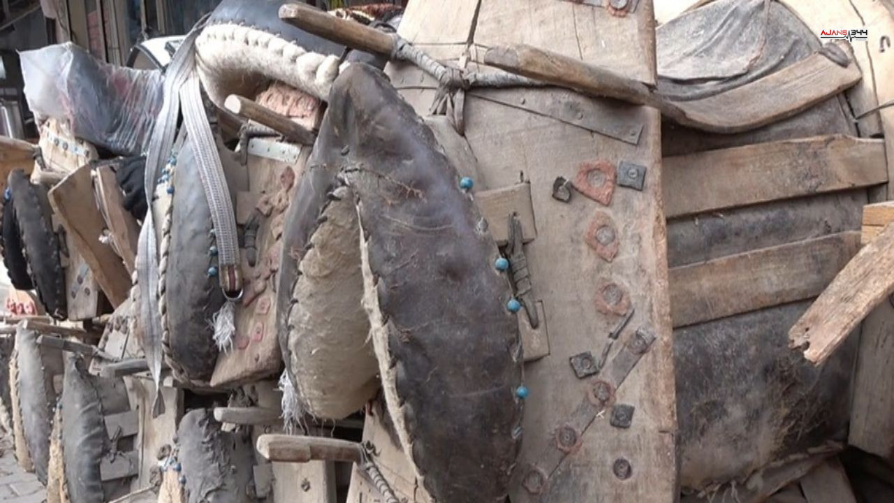 Semercilik Meslegi Tehlike Altında Ajans344 (1)