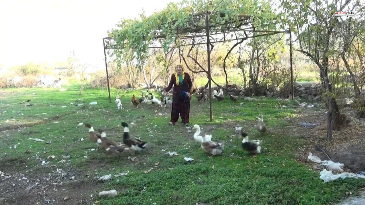 Sizin Mahallenin Duragı Selemiyw Ajnas344 (3)