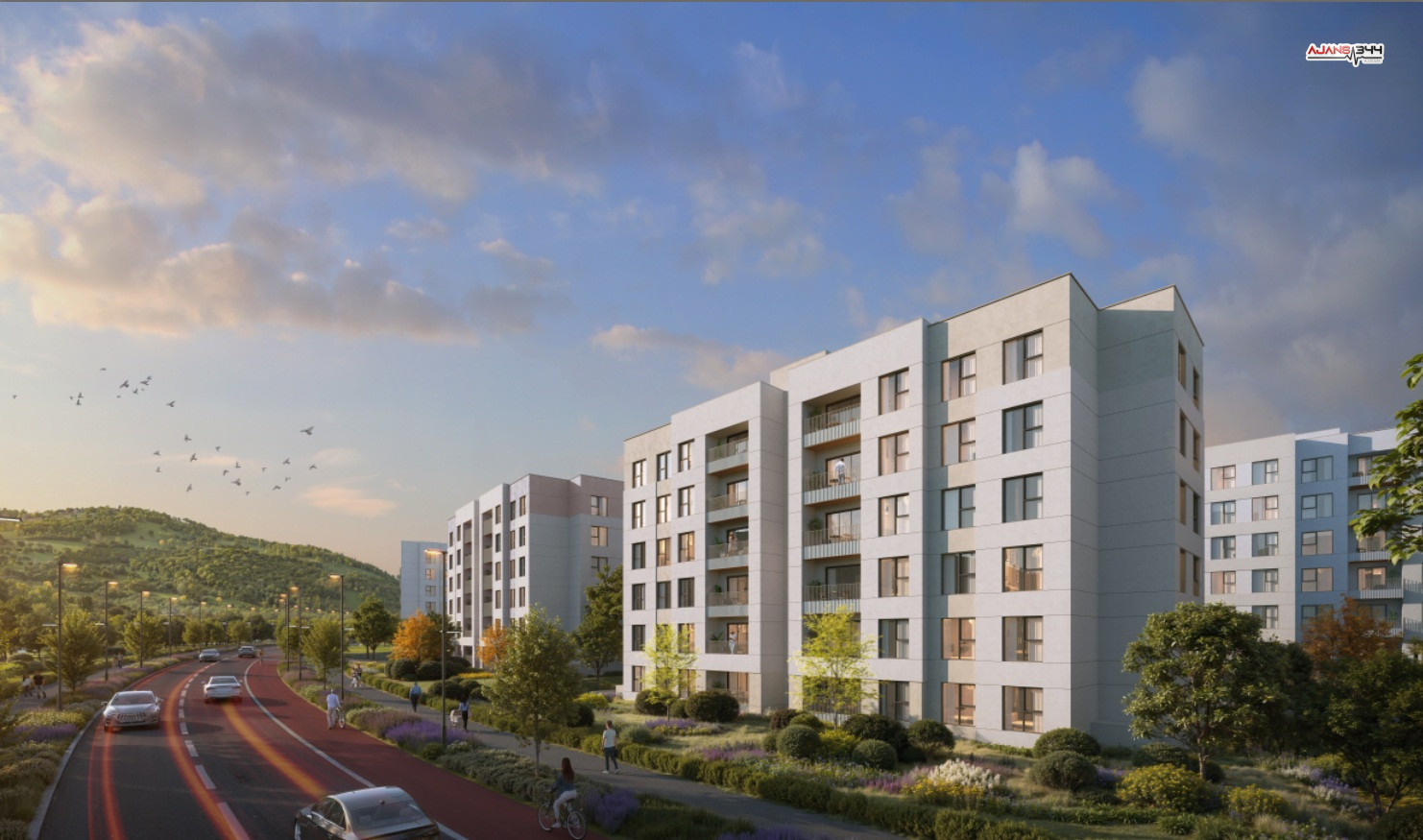 2Jpg 10 01 2025 09 44 48