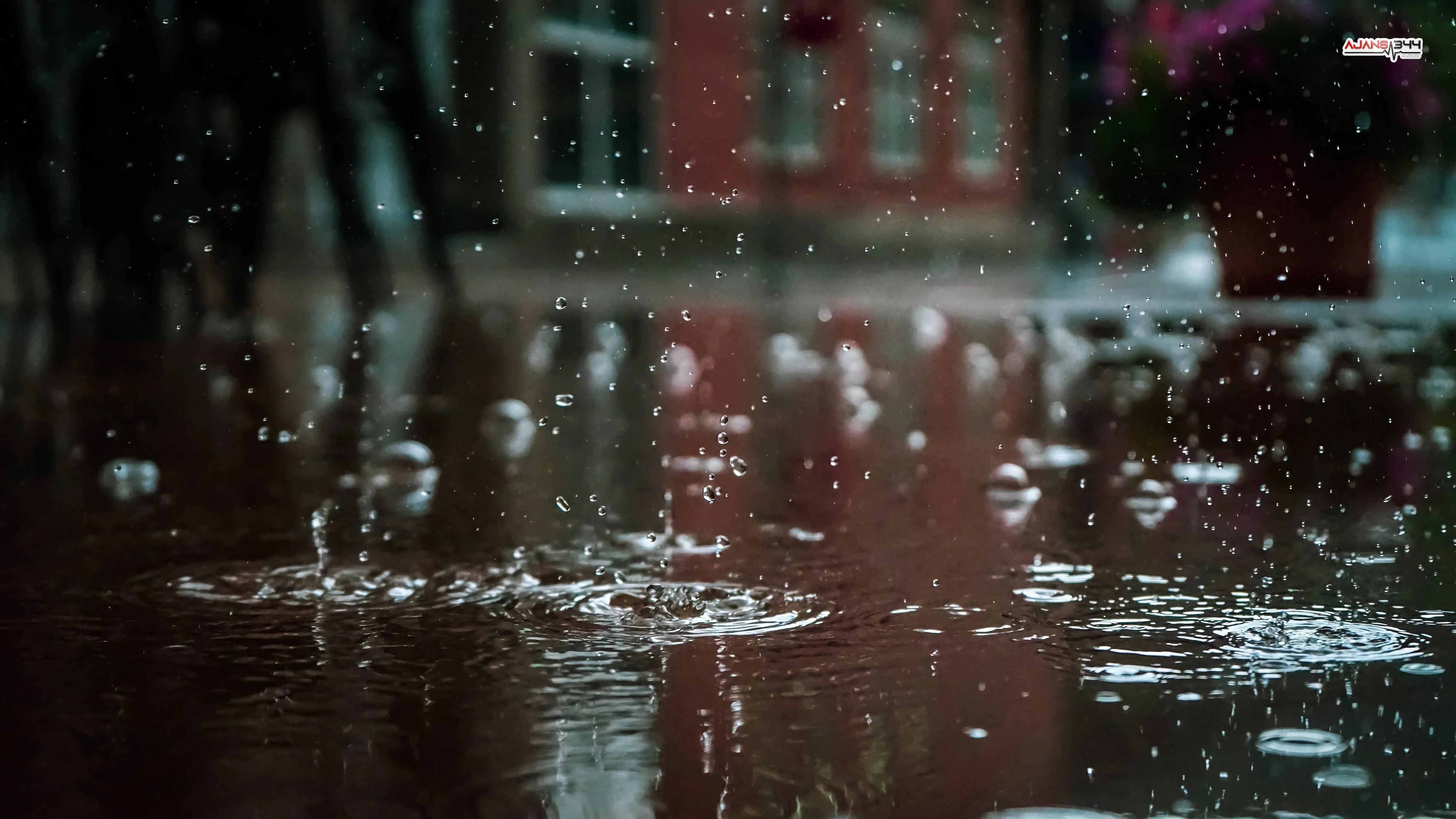 49Ae93341Dac0E58462B3620C122Bb3C