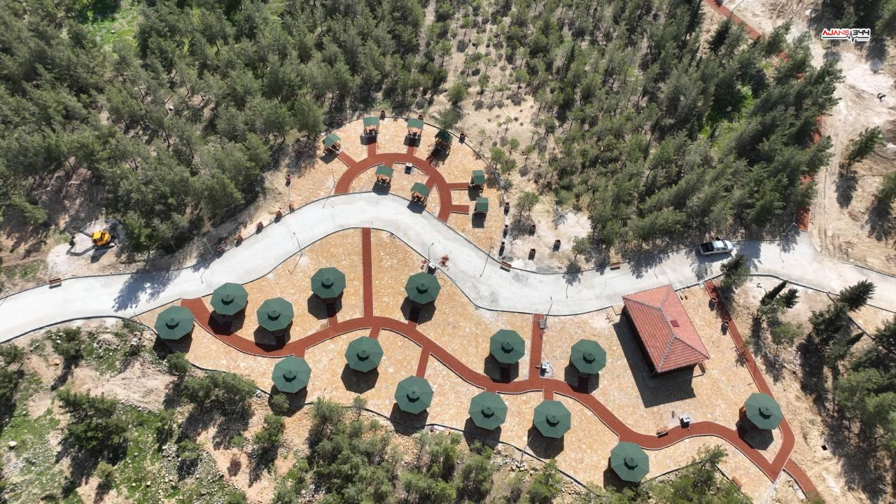 Mardin Millet Ormani Aa 2027851