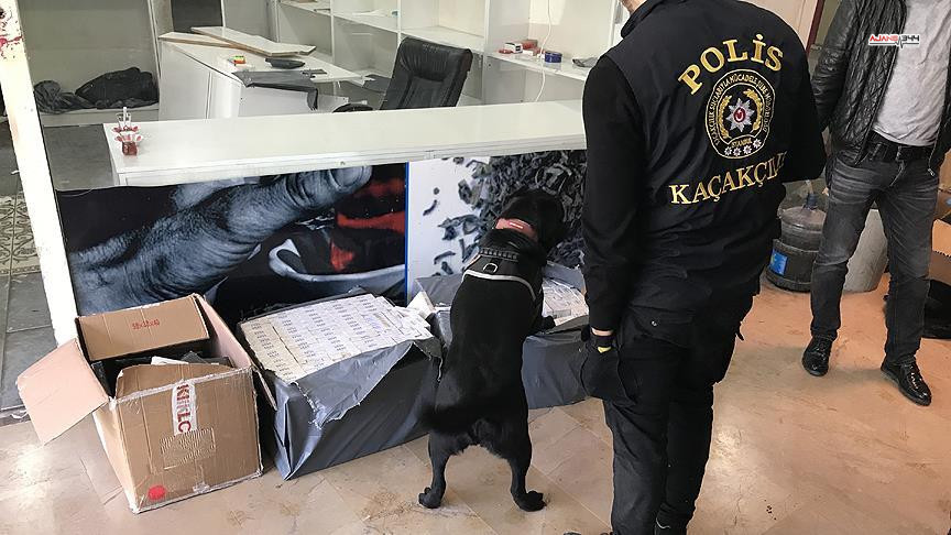 Thumbs B C Bc448C2Acd69A4194352D8Dcfc9236Dd