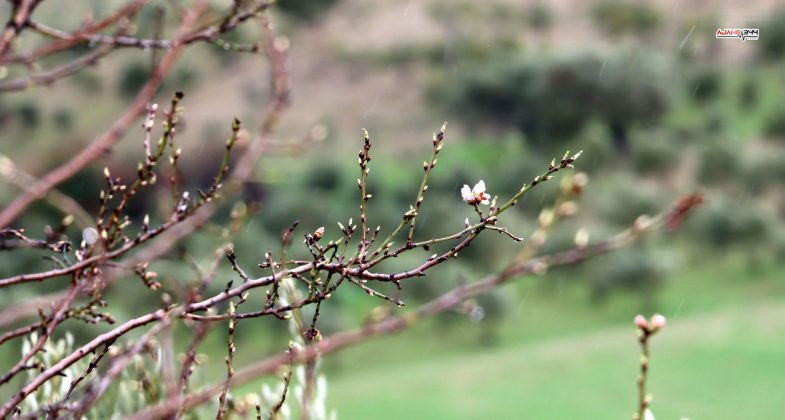 634858760 10165310228679672 2590544233679517783 N 785X420