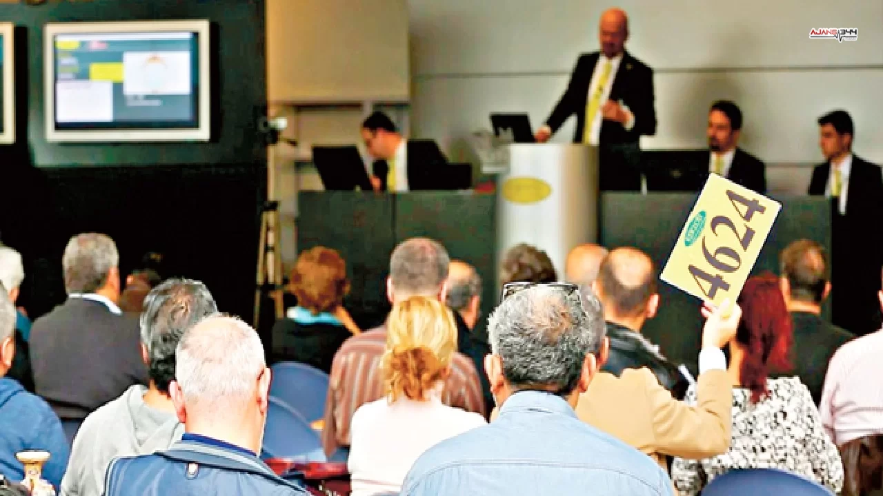 En Iyi Acik Artirma Siteleri