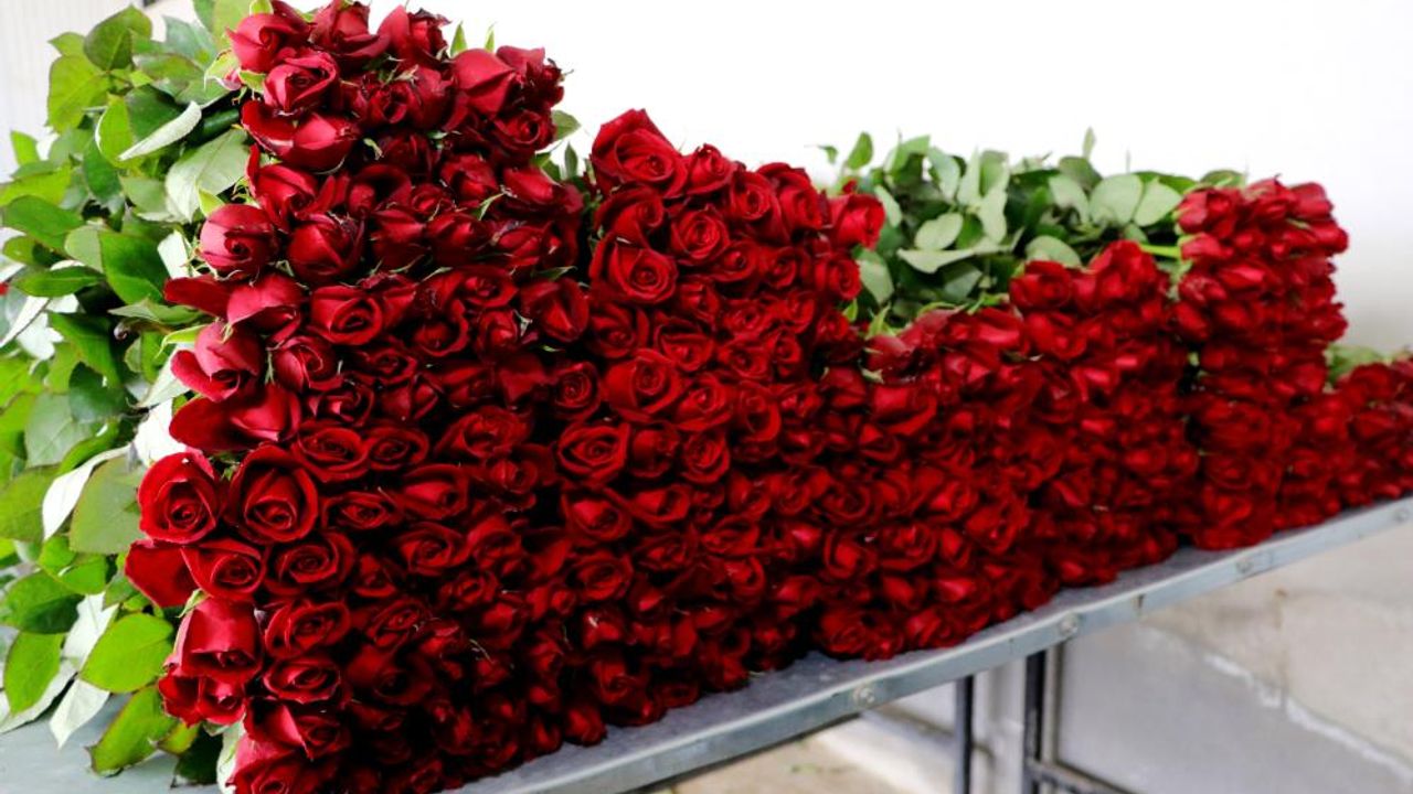 14 Şubat Sevgililer Günü'nde En Ucuz Çiçek Nereden Alınır?
