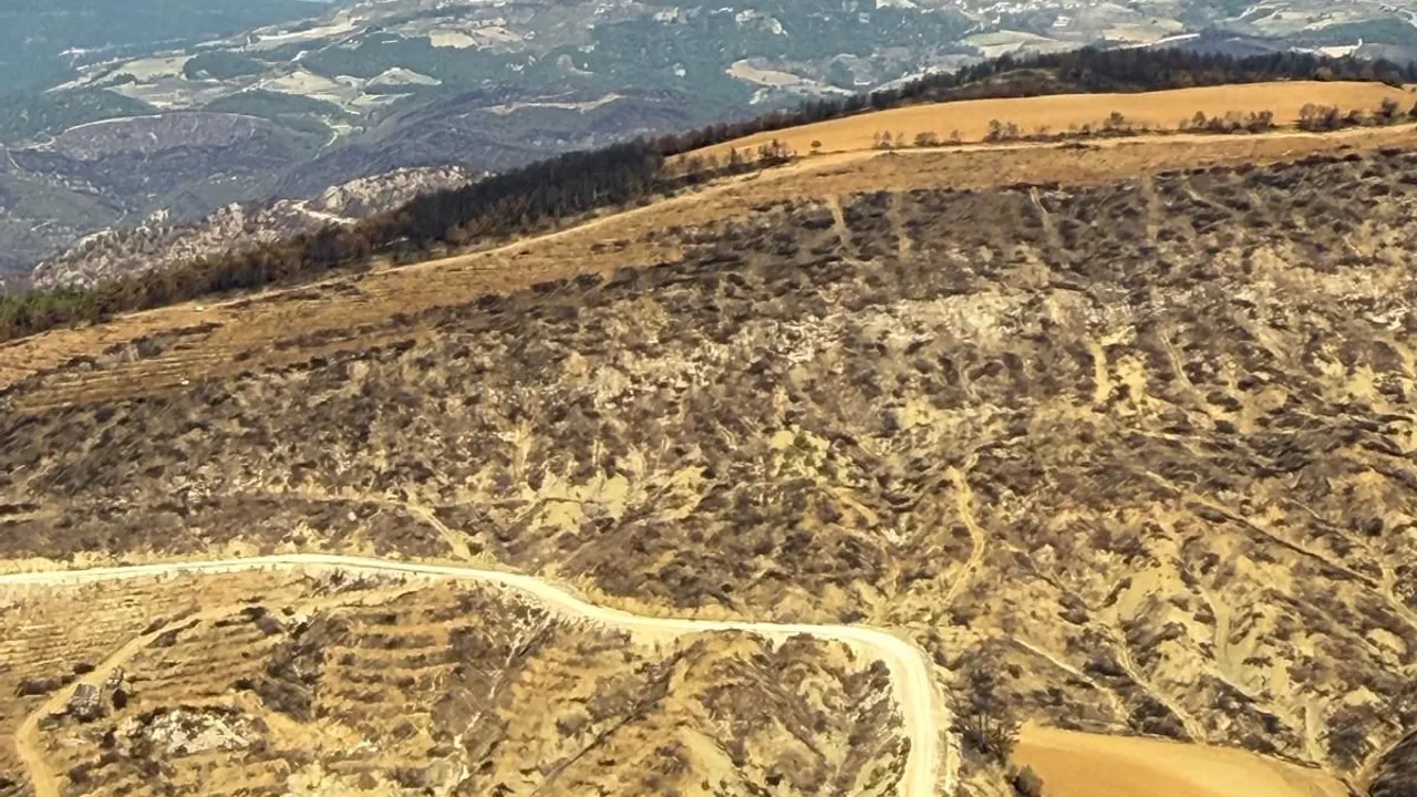 Yangın Bölgelerine Havadan İnceleme Yapılıyor