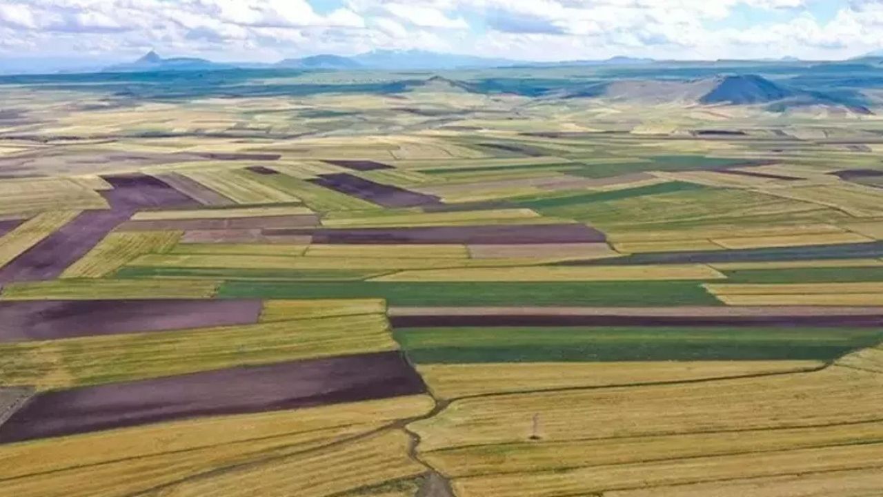 Göksun'da Hazine Arazileri İçin İhale Tarihi Belli Oldu