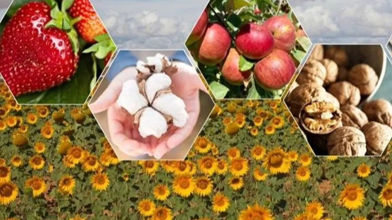Tarımda zor yıl beklentisi! Bitkisel üretimde düşüş bekleniyor