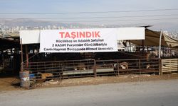 Kahramanmaraş'ta Adaklık Satış Merkezi Canlı Hayvan Borsası'na Taşınıyor