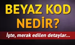 BeyazKod1111 nedir? Beyaz Kod nedir? Kimler tarafından Nasıl kullanılır?