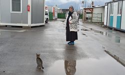 Şaziye teyze konteyner evinde kedileriyle hayatını sürdürüyor