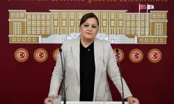 CHP Afyonkarahisar Belediye Başkan adayı Burcu Köksal kimdir