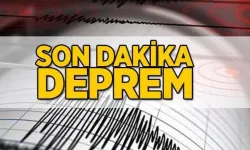 İzmir Aliağa'da Korkutan Deprem: Ege Sallandı, Halk Tedirgin