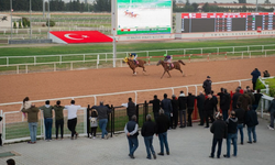 Adana'da at yarışı yapıldı  