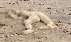 Bodrum’da sahilde ceset bulundu