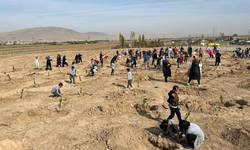 Elbistan Deprem Mezarlığında Fidanlar Toprakla Buluştu