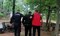 Ormanın yanmasına neden olan zanlı gözaltına alındı