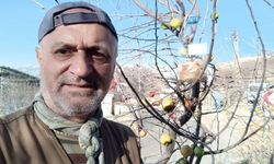 Kahramanmaraş'ta emekli askerden yaban hayvanlarına yem