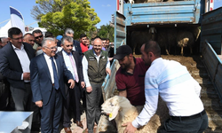 Kayseri'de hayvancılık yapanların su faturasının yarısını belediye ödüyor