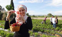 Milli Eğitim Müdürü şalvar giydi, yazma taktı hasada başladı