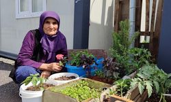 Depremzede kadın konteynerin önüne bahçe yaptı