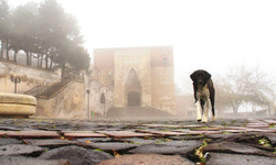 Afşin'de Ashab-ı Kehf yoğun sis içinde kaldı