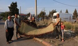 Maraş tarhanasının olmazsa olmazı 'çığ sergisi' böyle yapılıyor