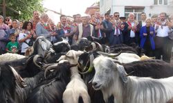 400 yıldır süren "Geleneksel Kurban İndirme Geleneği" gerçekleştirildi