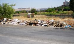 Kurban Bayramı sonrasında mide bulandıran görüntüler