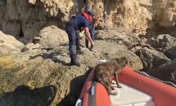 Denize düşen köpeği Sahil Güvenlik ekipleri kurtardı