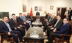 Sağlık Bakanı Memişoğlu, Valiliği ziyaret etti