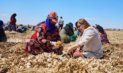 Gaziantep'te "Haydi Tarladan Sofraya" projesi ile çiftçi ile tüketici buluşturulacak