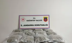 32 kilogram skunk ele geçirildi