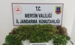 Uyuşturucu tacirlerine operasyon