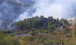 Orman yangınında alevlerin sıçradığı ev kullanılamaz hale geldi