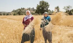 Binlerce kadını tarımla buluştu