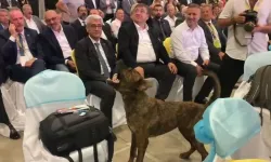 Fuar alanına girip dron kovalayan köpek gülümsetti